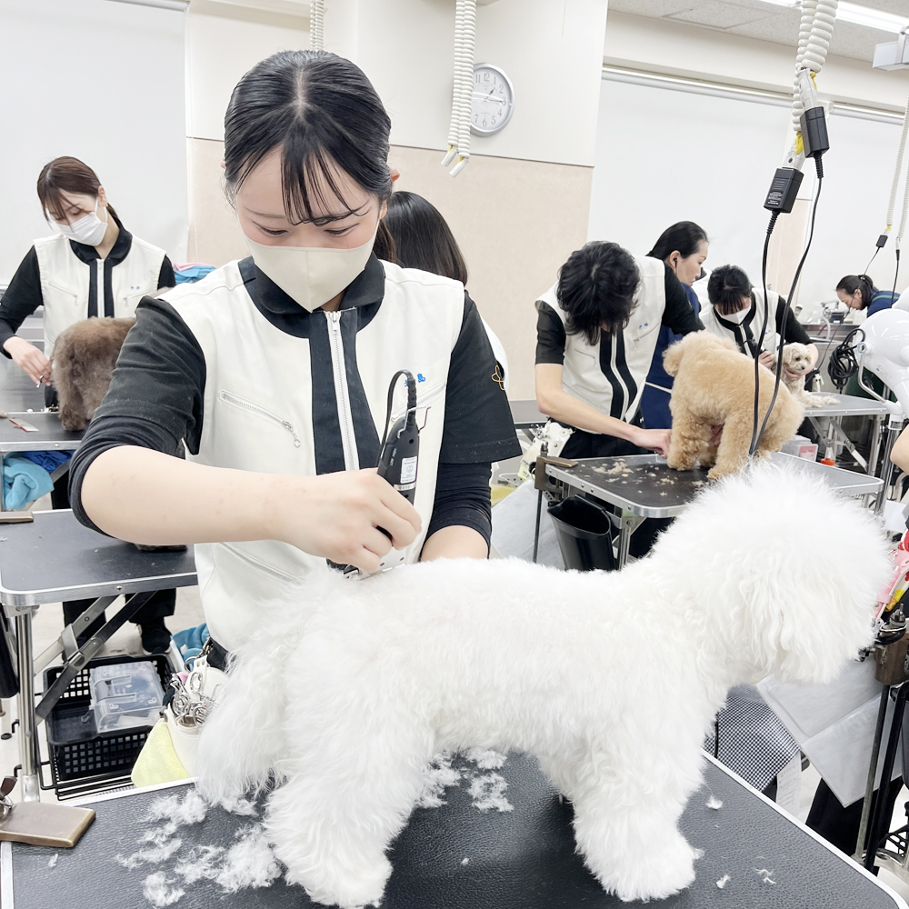 ２年生、卒業までのカウントダウンが始まりました！